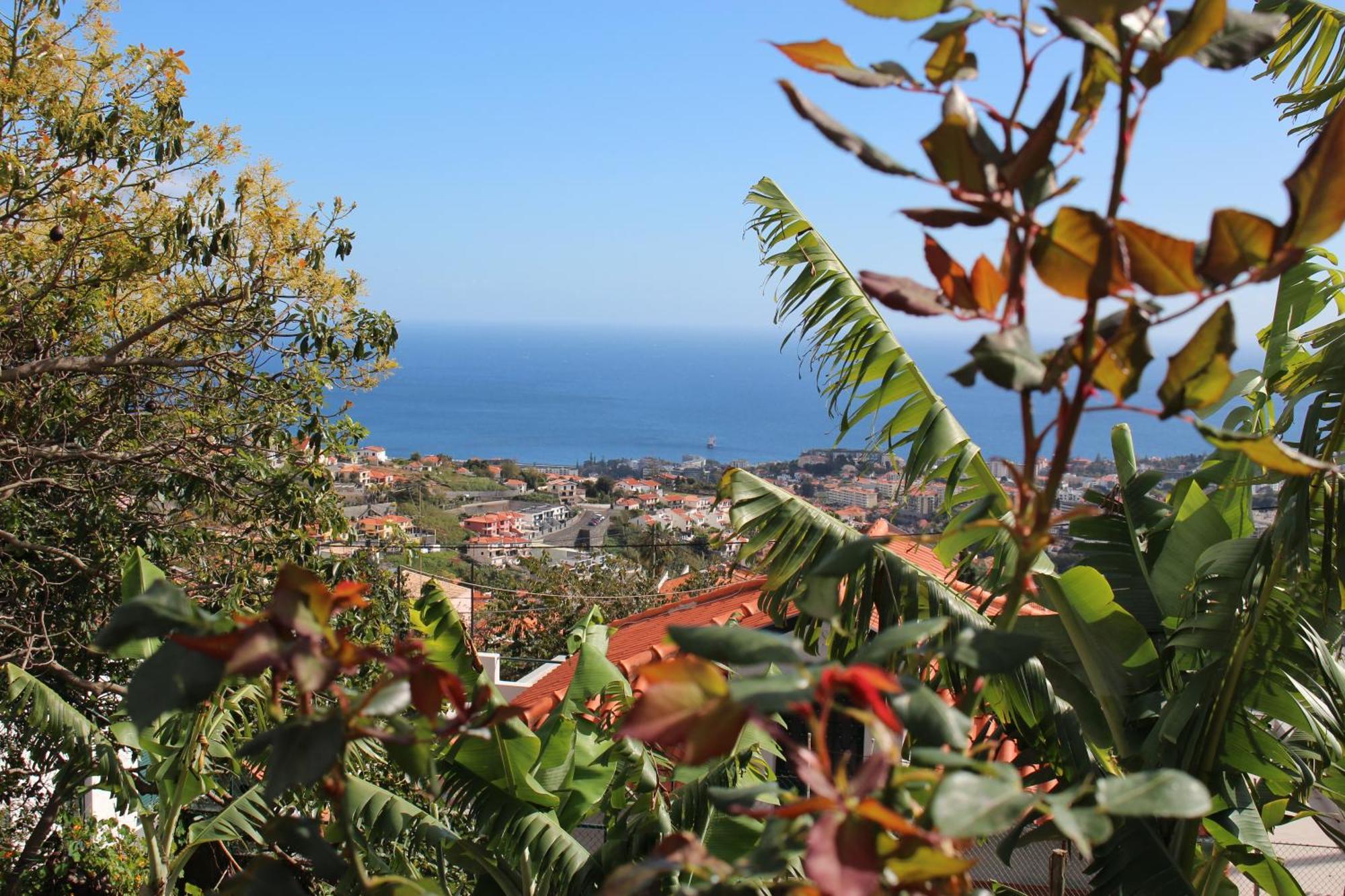Alojamento Funchal - Silvestre House Buitenkant foto